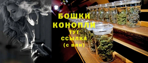 индика Абдулино