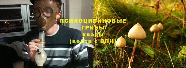 круглые Алексеевка